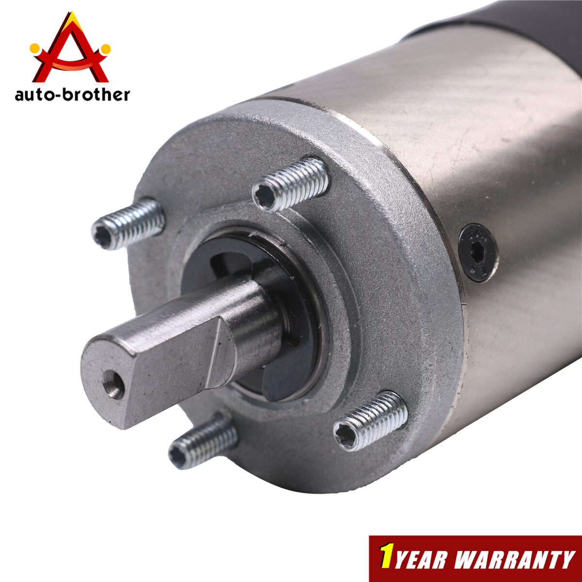 300:1 10MM RV Schwintek Slideout In Wall Slide Out Motor For Lippert 236575