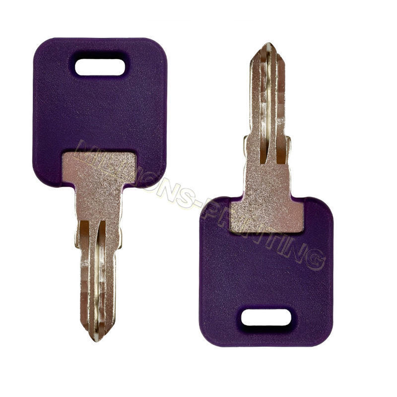 1 Pair For Global Link Precut Keys G301 – G391 RV Trailer Camper Blank Keys