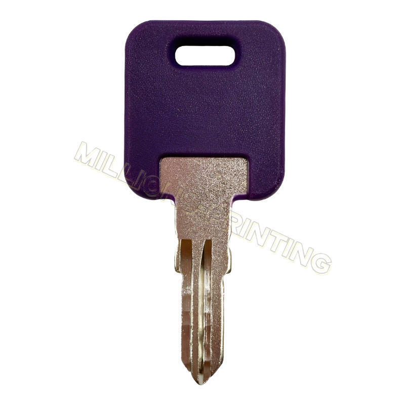 1 Pair For Global Link Precut Keys G301 – G391 RV Trailer Camper Blank Keys