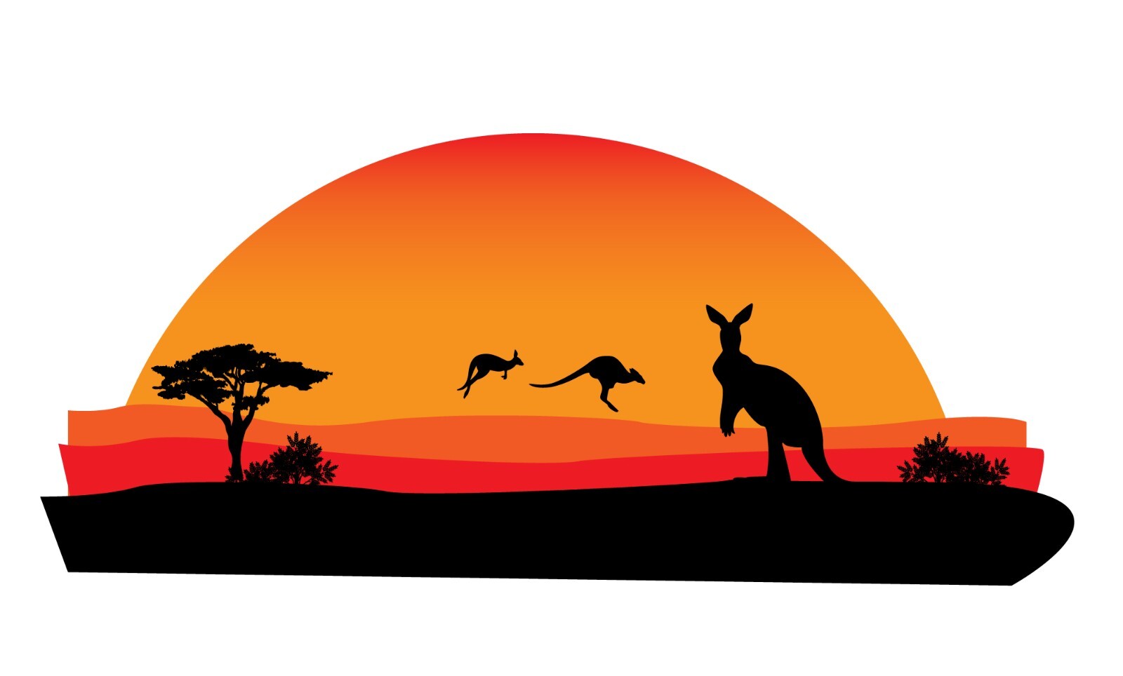 1.4m Australian sticker decal RV motorhome, vehicle, truck , camper