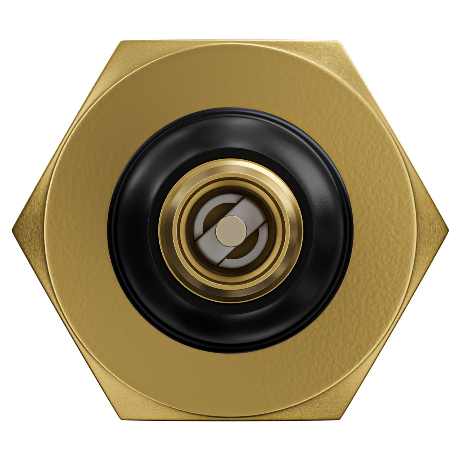Leisure Coachworks RV 50psi Brass Winterization Water Intake Blow-Out Plug
