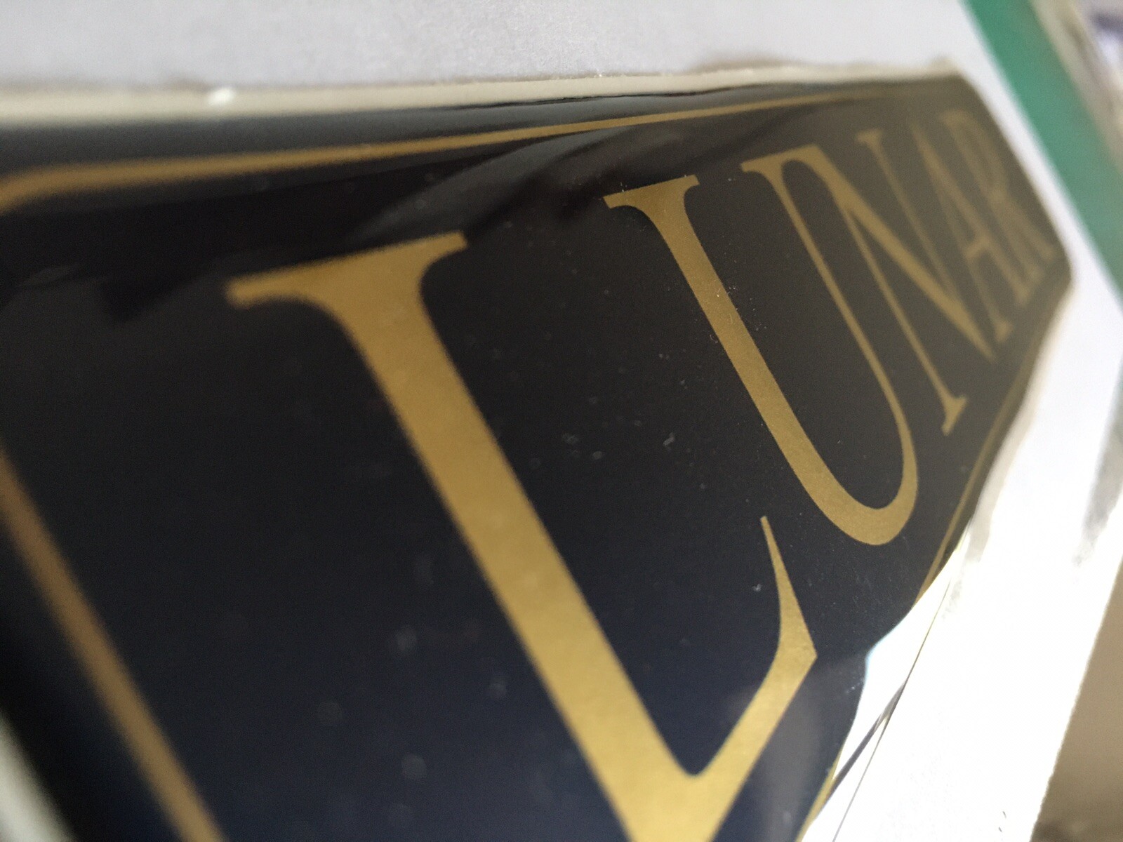 LUNAR CARAVAN MOTORHOME RECTANGLE FRONT BADGE DOMED RESIN BLUE & GOLD HIDE DENTS