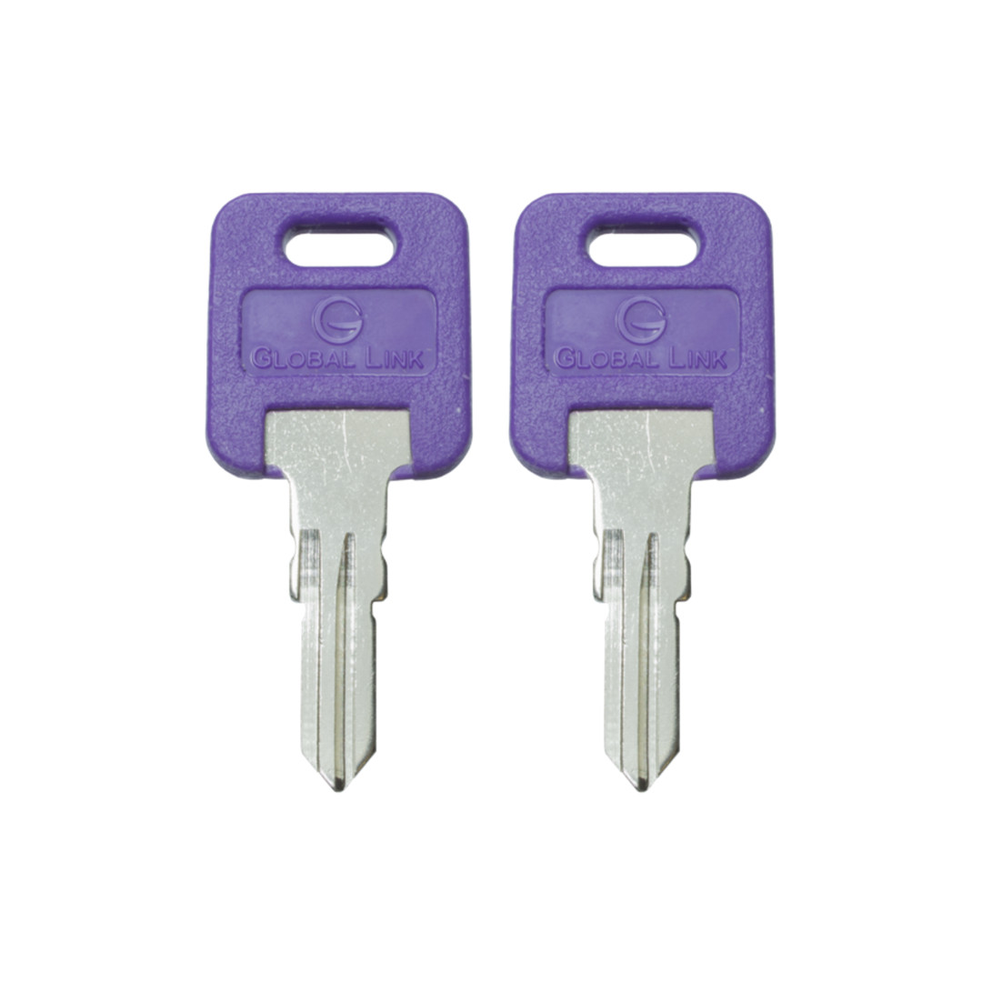1 Pair (2 keys) Global Link Precut Keys G301 – G391 RV Trailer Camper Keys