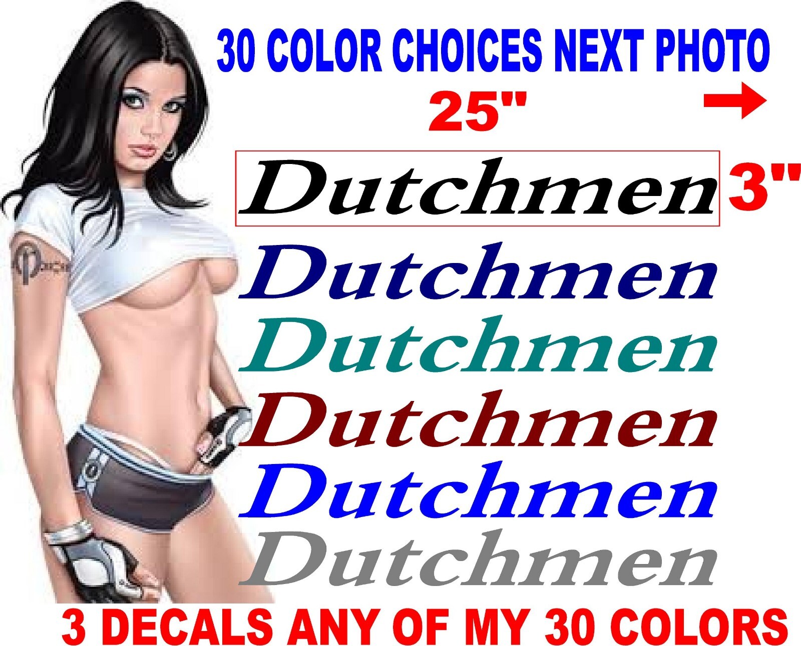 FITS DUTCHMEN RV DECALS DECAL 3 DECALS ANY COLOR CAMPER 30 COLOR CHOICES