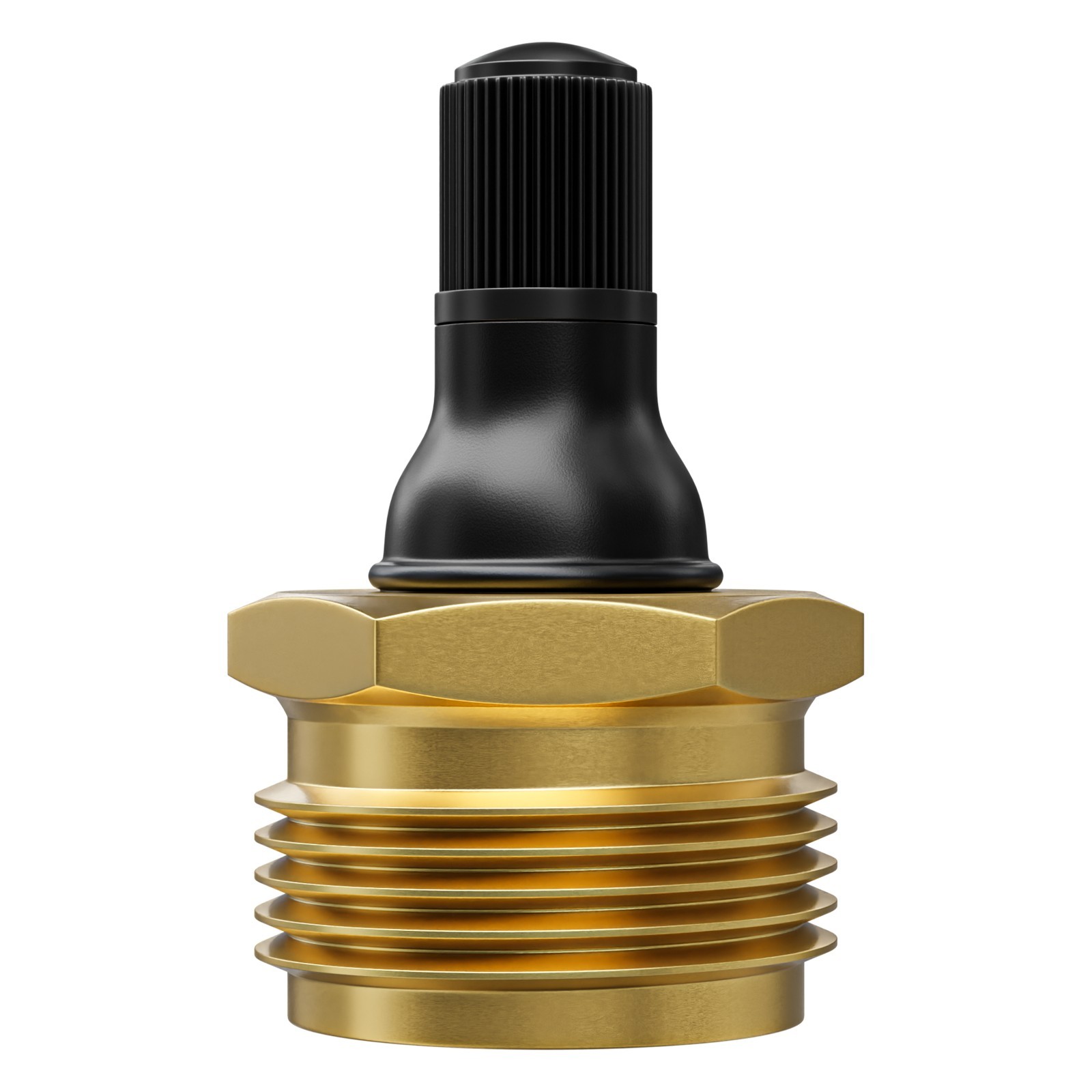 Leisure Coachworks RV 50psi Brass Winterization Water Intake Blow-Out Plug