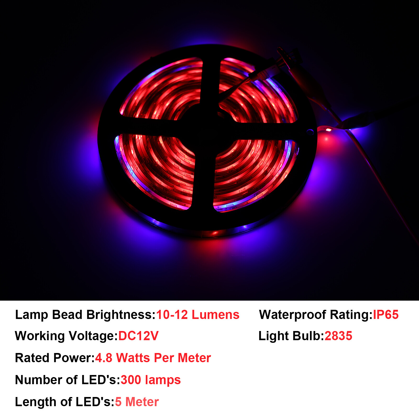 12V LED 2835 Flex 5MStrip Light Dimmable Waterproof Cool White Campervan Caravan