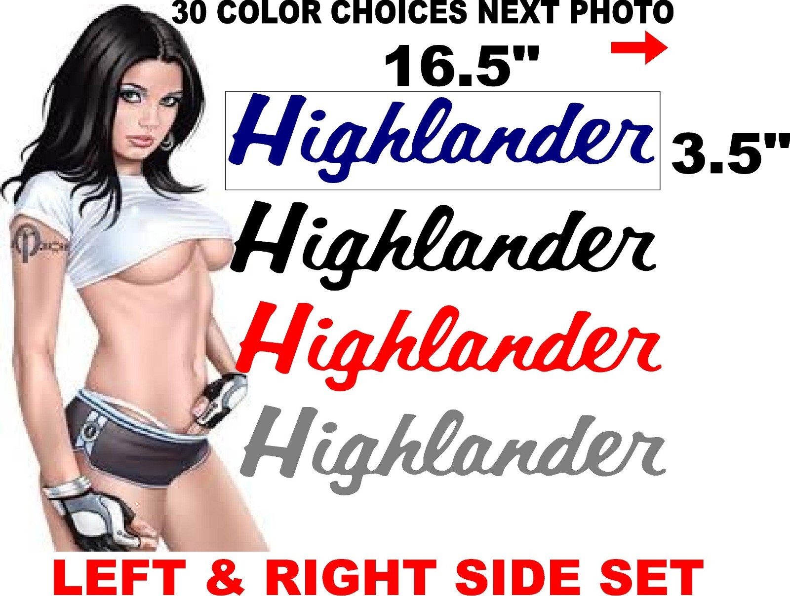 HIGHLANDER TRAILER RV 1 DECAL CAMPER 30 COLOR CHOICES 2 DECALS