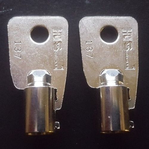 HMC1001-HMC1250 2-NEW KEYS FOR Protex Gun Wall Safe Homak. Replacement KEY