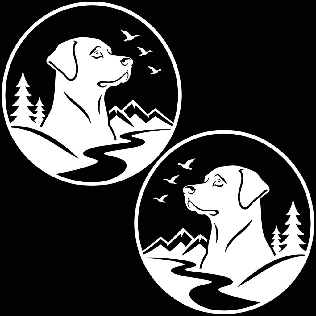 x2 LABRADOR DECALS Car Campervan Stickers Motorhome Vinyl Decals 24 Colours
